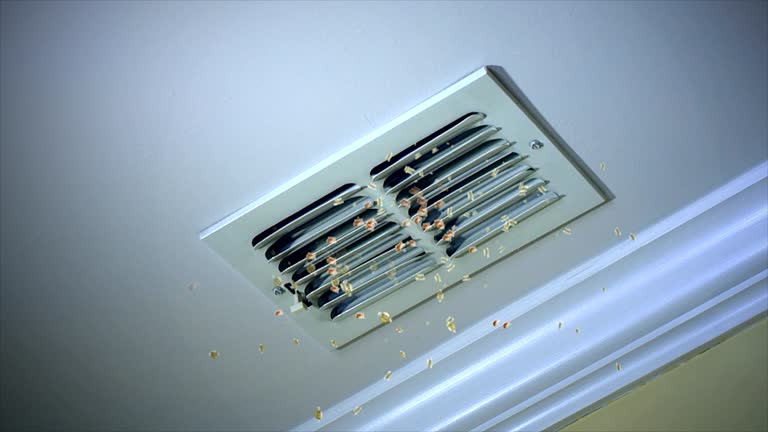 Best Air Duct Mold Removal  in Six Mile, SC