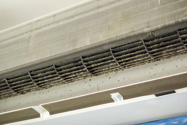 Best Emergency Air Duct Cleaning  in Six Mile, SC